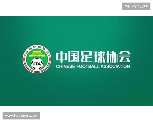 中超公司由中国足协及16家俱乐部共同出资成立 中超公司由中国足协及16家俱乐部共同出资成立